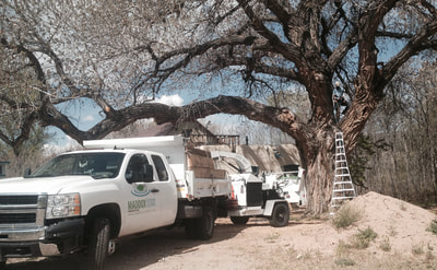 Tree services, landscaping and water feature services in Taos, Santa Fe and throughout New Mexico. 